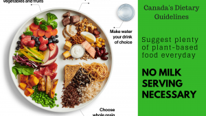Canada's Dietary Guidelines