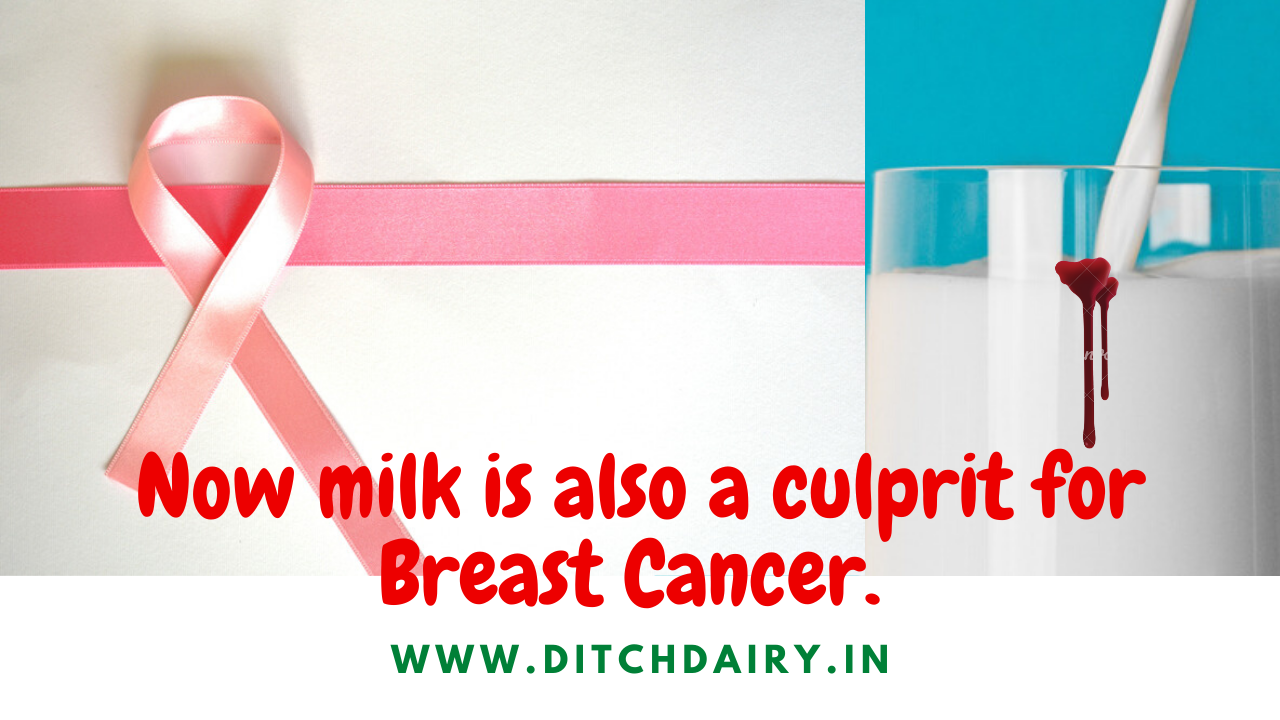 स्तन कैंसर(ब्रैस्ट कैंसर) का एक कारण यह भी: एक कप दूध रोजाना!